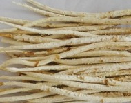 北沙参