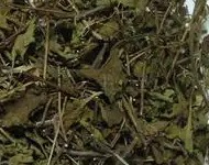 冬凌草