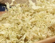 竹茹