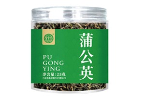 蒲公英