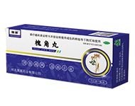 槐角丸