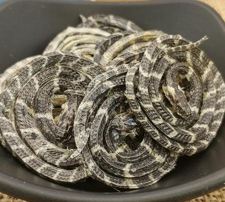 金钱白花蛇