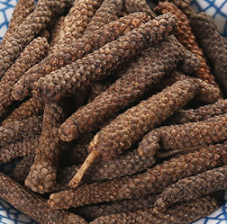 荜茇