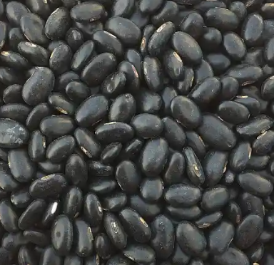 黑豆