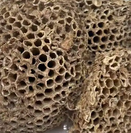 蜂房