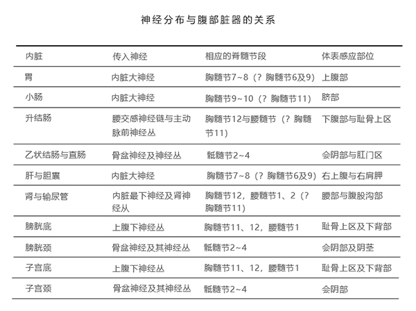 神经分部.jpg