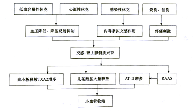 5555-3.jpg