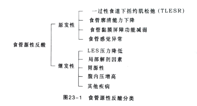 55551.jpg