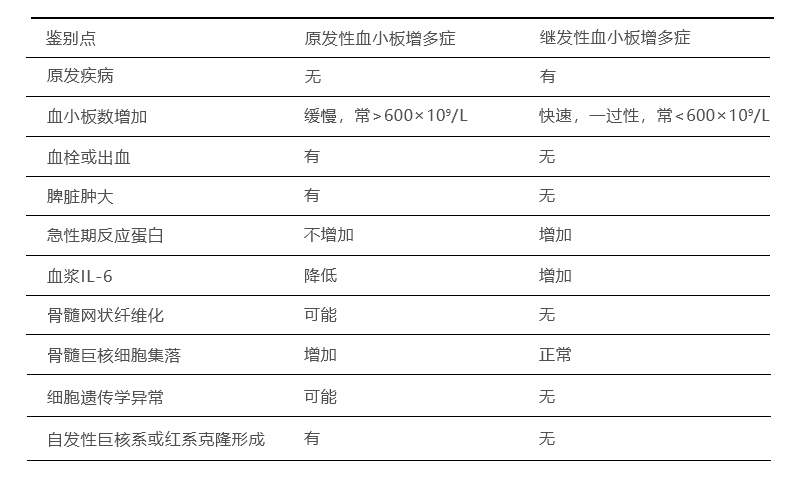 神经分部-恢复的.jpg