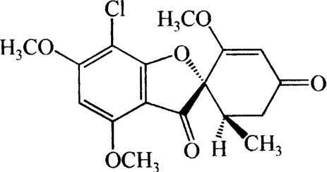 9787521415988-001_0379_0004.jpg