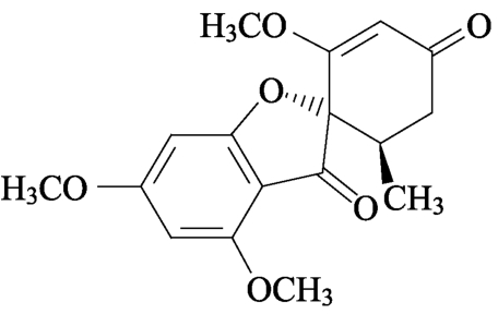 9787521415988-001_0379_0004.jpg