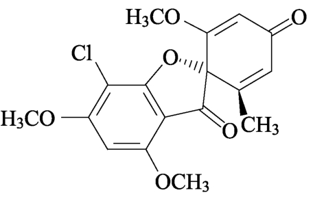 9787521415988-001_0452_0002.jpg