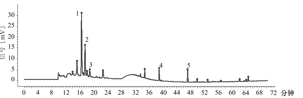 9787521415988-001_0379_0004.jpg