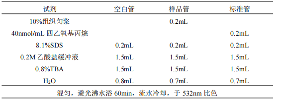 屏幕截图 2024-07-11 160731.png