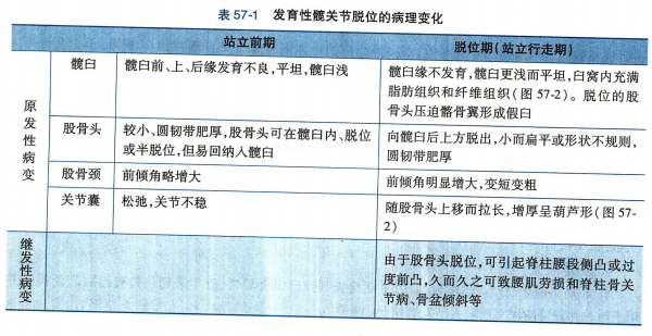 屏幕截图 2024-07-30 150433.png
