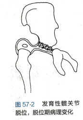 屏幕截图 2024-07-30 150650.png