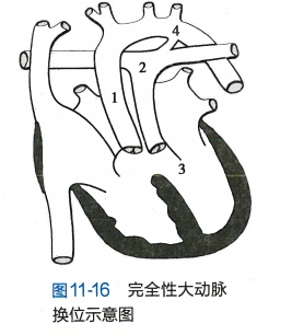 微信截图_20240812090558.png
