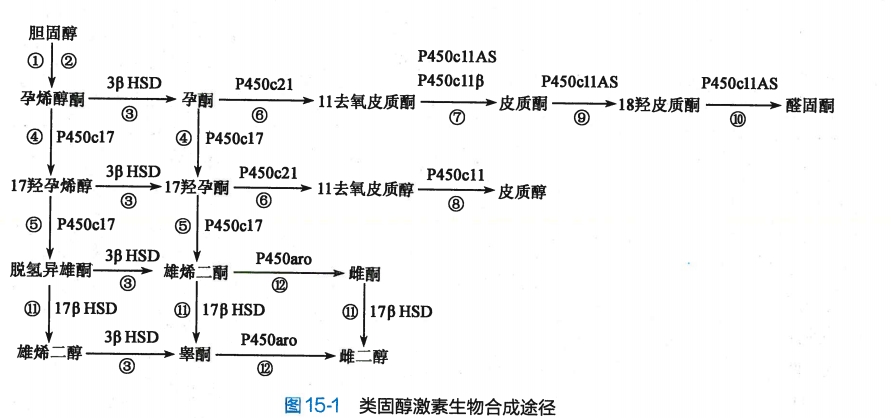 微信截图_20240820141903.png