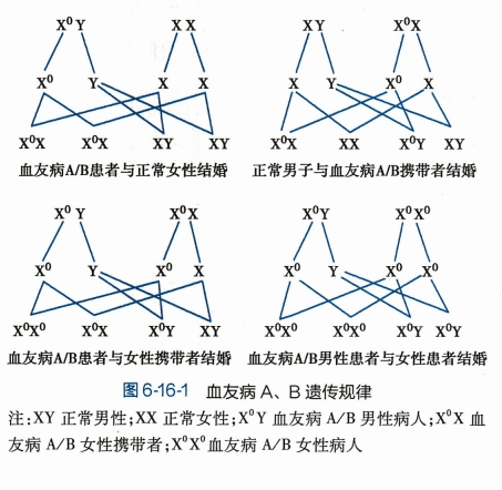 微信截图_20240906162106.png